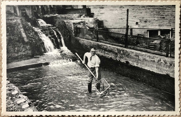 Moulin