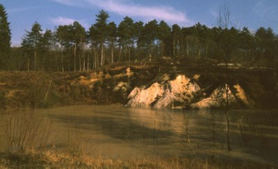 La sablière de l'Arbois